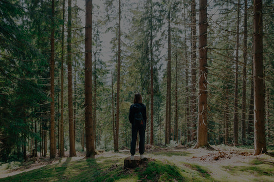 MenoViva — natural support through life's transitions