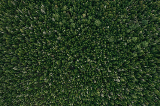 MenVit by MenoViva — a daily formula grounded in nature